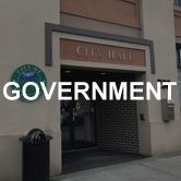 government