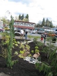 Legion Park Rain Garden