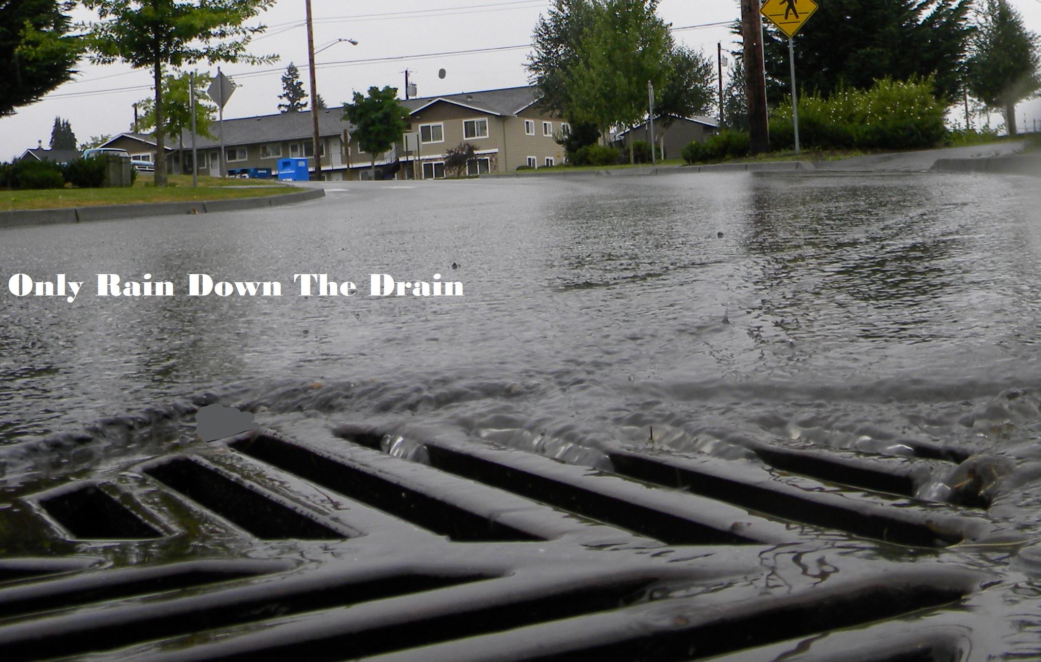 OnlyRainDownTheDrain_LI